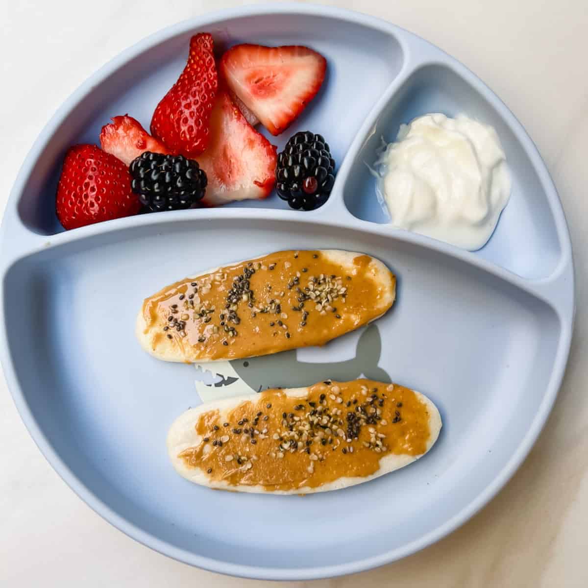 Balanced Baby Teethers for Baby Led Weaning - Easy Eats Dietitian